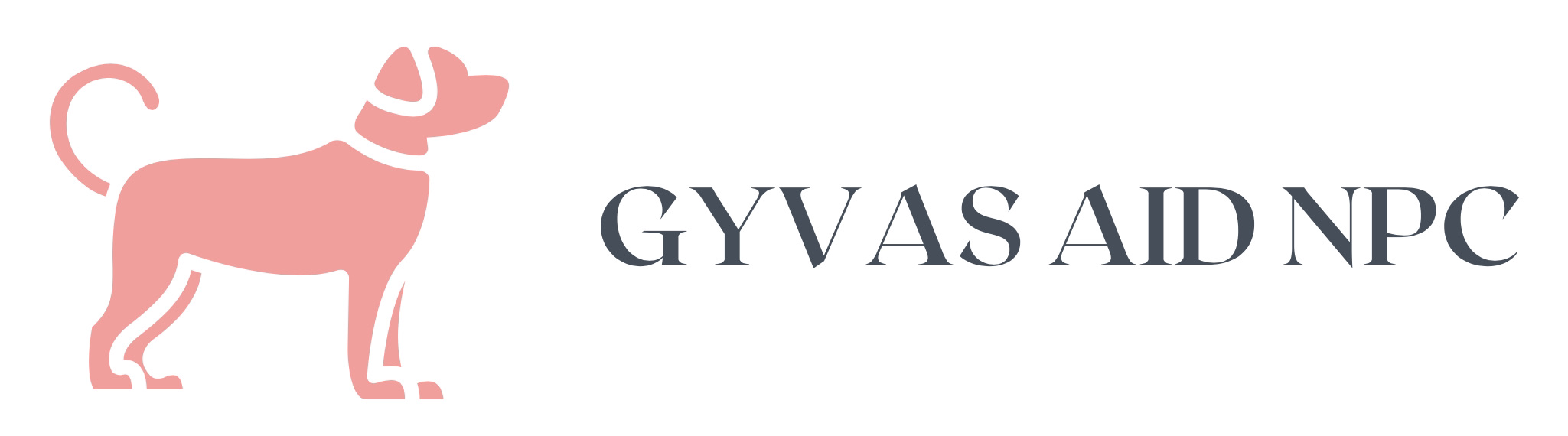 GYVAS AID NPC